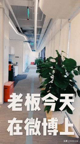 新晋网红“沈大大”专访教你Reno系列正确发音pg电子平台(图1)